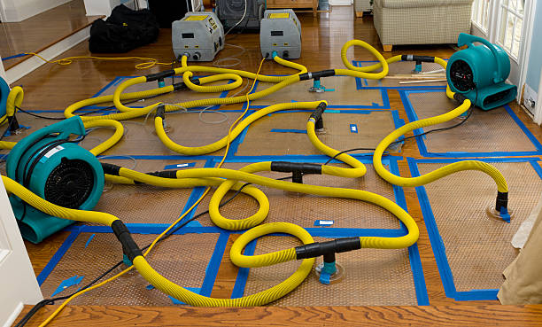 Professional Crawl Space Water Removal technician working in London, OH